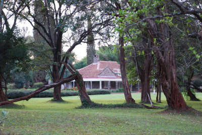 Ken Blixen's Cottage- Jamie even recognized it from the movie!