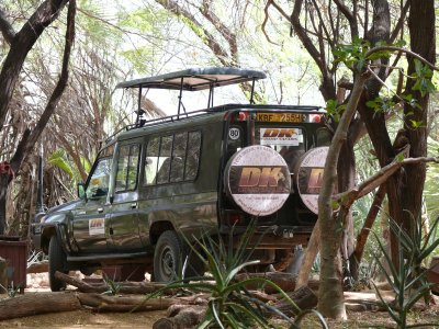 DK Safari Van - comfy for sure!!