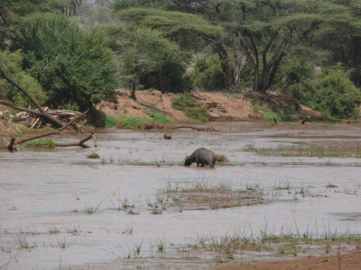 All tents face the river