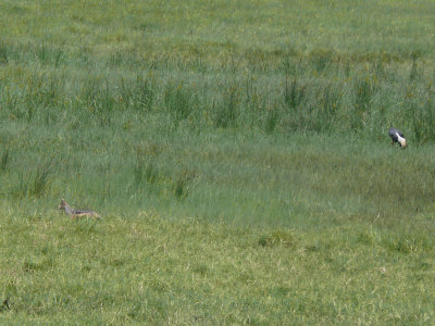 g1/40/780740/3/126453360.ANXf831H.jpg
