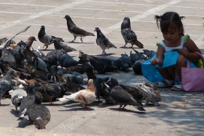 A little girl feeding the pigeons - I seem to find this scene worldwide!