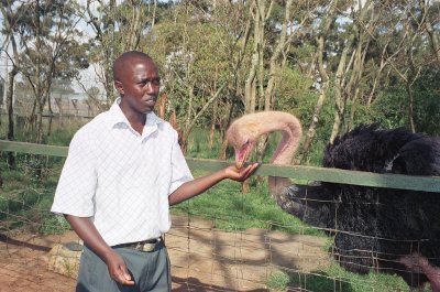 KWS Orphanage - Ostrich & Noah, our KWS guide