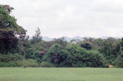 I had a farm, at the foot of the Ngong Hills....