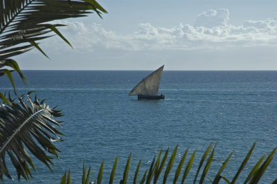 A Dhow seen from our balcony