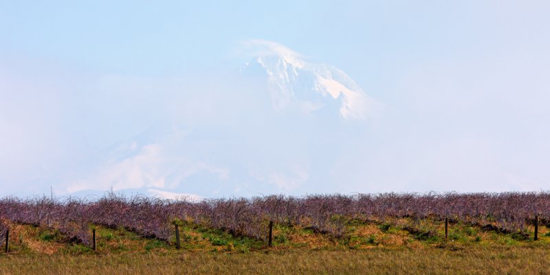 Ghost Mountain.jpg