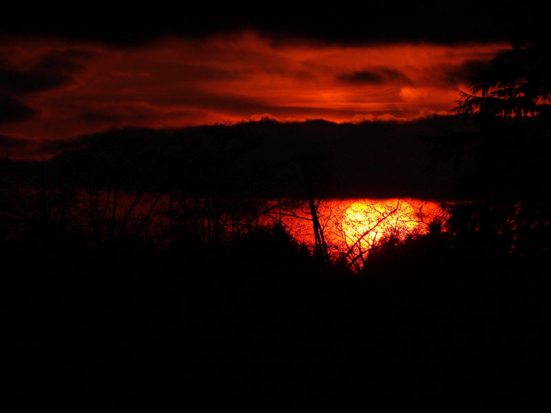 Oberland Sunset 2-20-08