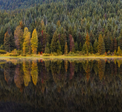 At Trillium Lake