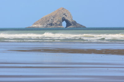 Motupia Island off the northern part of 90 mile beach .JPG