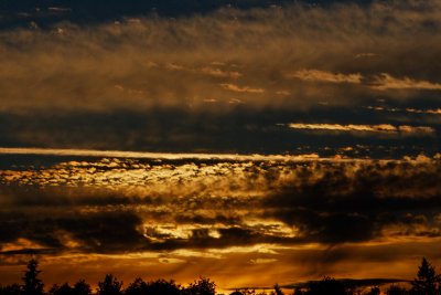 Another sunset from behind pasture