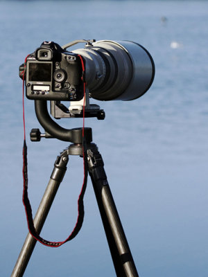 Foreground Focus2.jpg