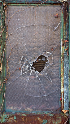 Window