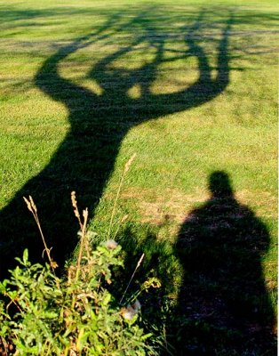 The Tree Monster.jpg