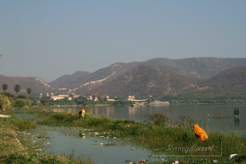 33-Women cutting grass in Jaipur lake