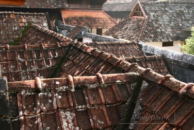 03-Rooftops at Padamanabhapuram Palace