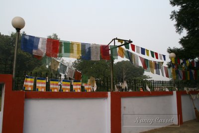 25-Prayer Flags at Bodhi Complex