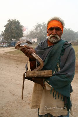 27-Cobra handler