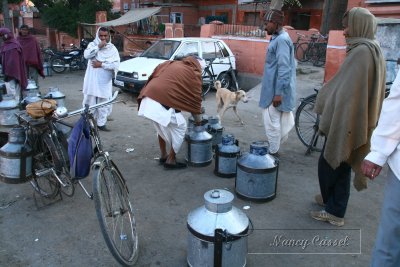 Jaipur