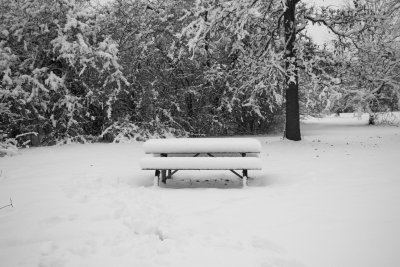 Picnic in the snow