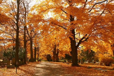 Rural Hill Cemetery