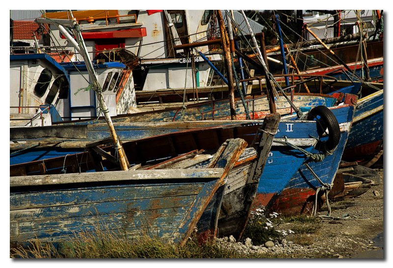 Barcos de pesca abandonados  -  Derelict fishing boats