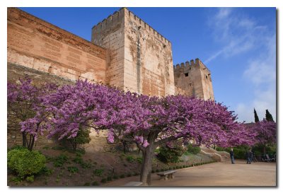 La Alcazaba - The Old Citadel