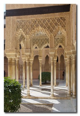Columnas en el Patio de los Leones - Columns in the Courtyard of the Lions