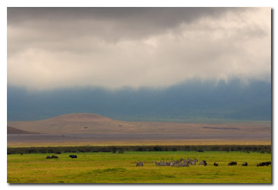 Colores del Norongoro  -  Colors of Ngorongoro