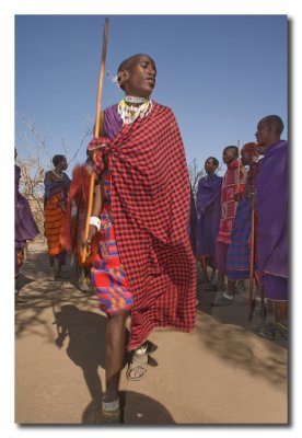 Guerrero Masai  -  Maasai warrior