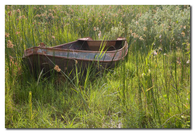 Barca oxidada  -  Rusty boat