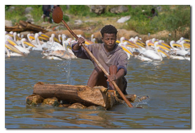 Pescador en el lago Abaya  -  Fisherman in lake Abaya