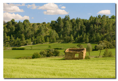 Caseta de labrador en ruinas - Derelict farmers hut