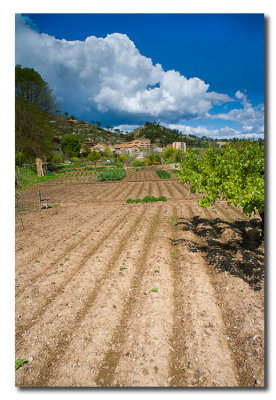 Huertas - Vegetable gardens