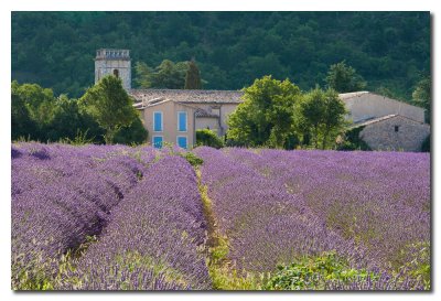Provenza - Provence