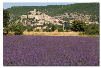 Lavanda y Banon  -  Lavender and Banon