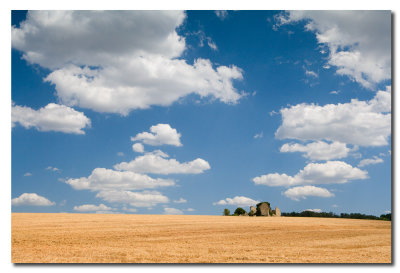 Paisaje  -  Landscape