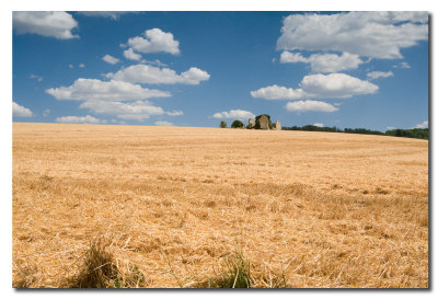 Paisaje - Landscape