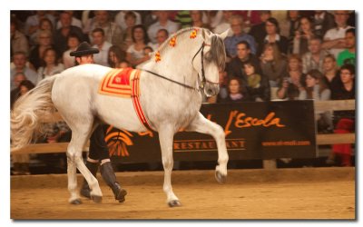 Equus Gerona 2009