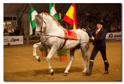 Equus Gerona 2009