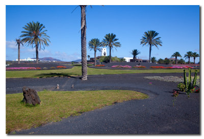 Jardin en la rotonda de Yaiza