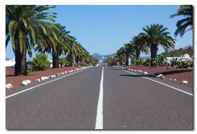 Calle de entrada Yaiza