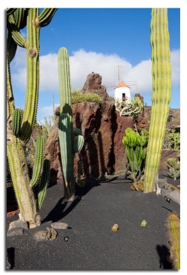 Jardin de Cactus-13.jpg