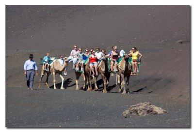 Caravana de dromedarios en Timanfaya