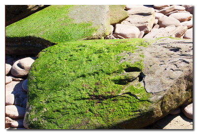 Rocas en la playa de Qihayd - Rocks on the Qihayd beach