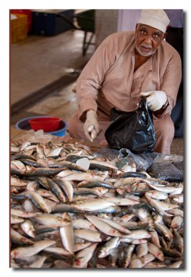 Vendedor en el mercado de pescado - Salesman in the fish market