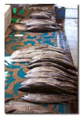 Pescados a la venta en el mercado del pescado - Fish on sale at the fish market
