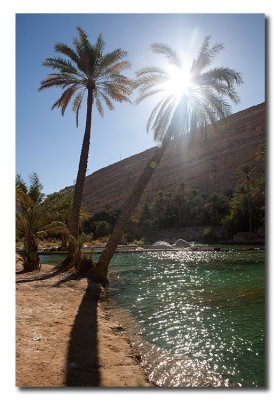 Palmeras en Wadi Ghul - Palm trees in Wadi Ghul
