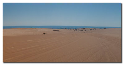 Panorama: Final de Wahiba Sands - Panorama: The end of Wahiba Sands