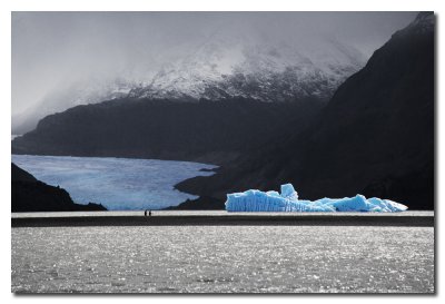 Reflejos en el Lago Grey  -  Reflections in the Grey Lake