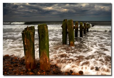 Espigónes de madera - Wood groynes