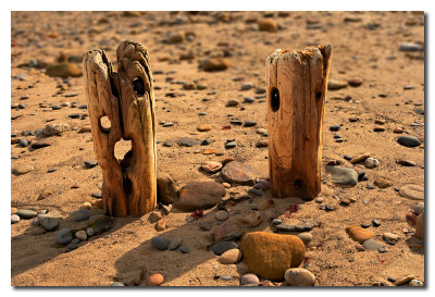 Espigónes de madera viejos - Old wood groynes